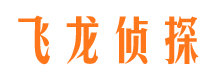 翠峦侦探公司